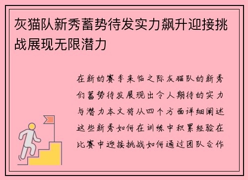 灰猫队新秀蓄势待发实力飙升迎接挑战展现无限潜力