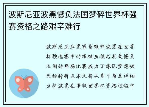 波斯尼亚波黑憾负法国梦碎世界杯强赛资格之路艰辛难行