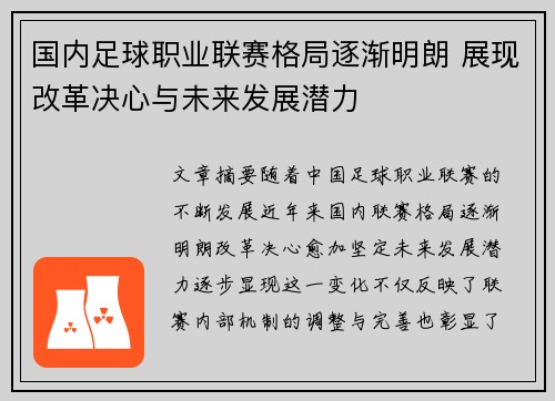 国内足球职业联赛格局逐渐明朗 展现改革决心与未来发展潜力